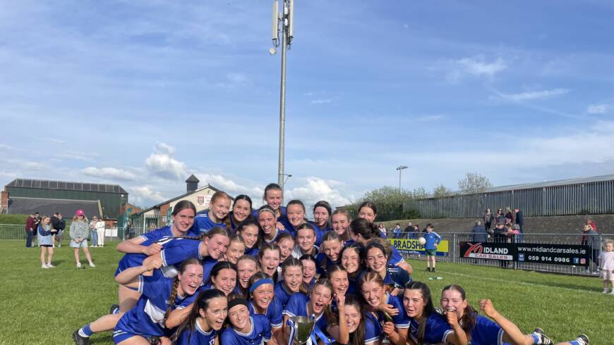 ZuCar All-Ireland Minor B Semi-Final: Match Review