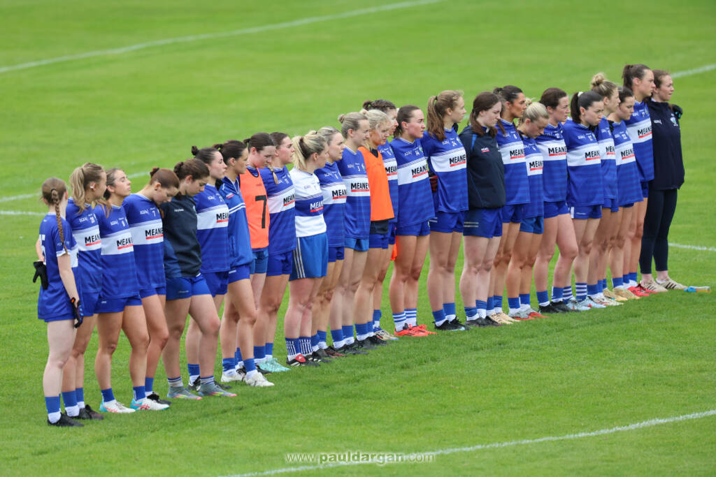 Laois v Wicklow Preview: Intermediate Status on the Line this Saturday