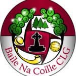 Ballinakill
